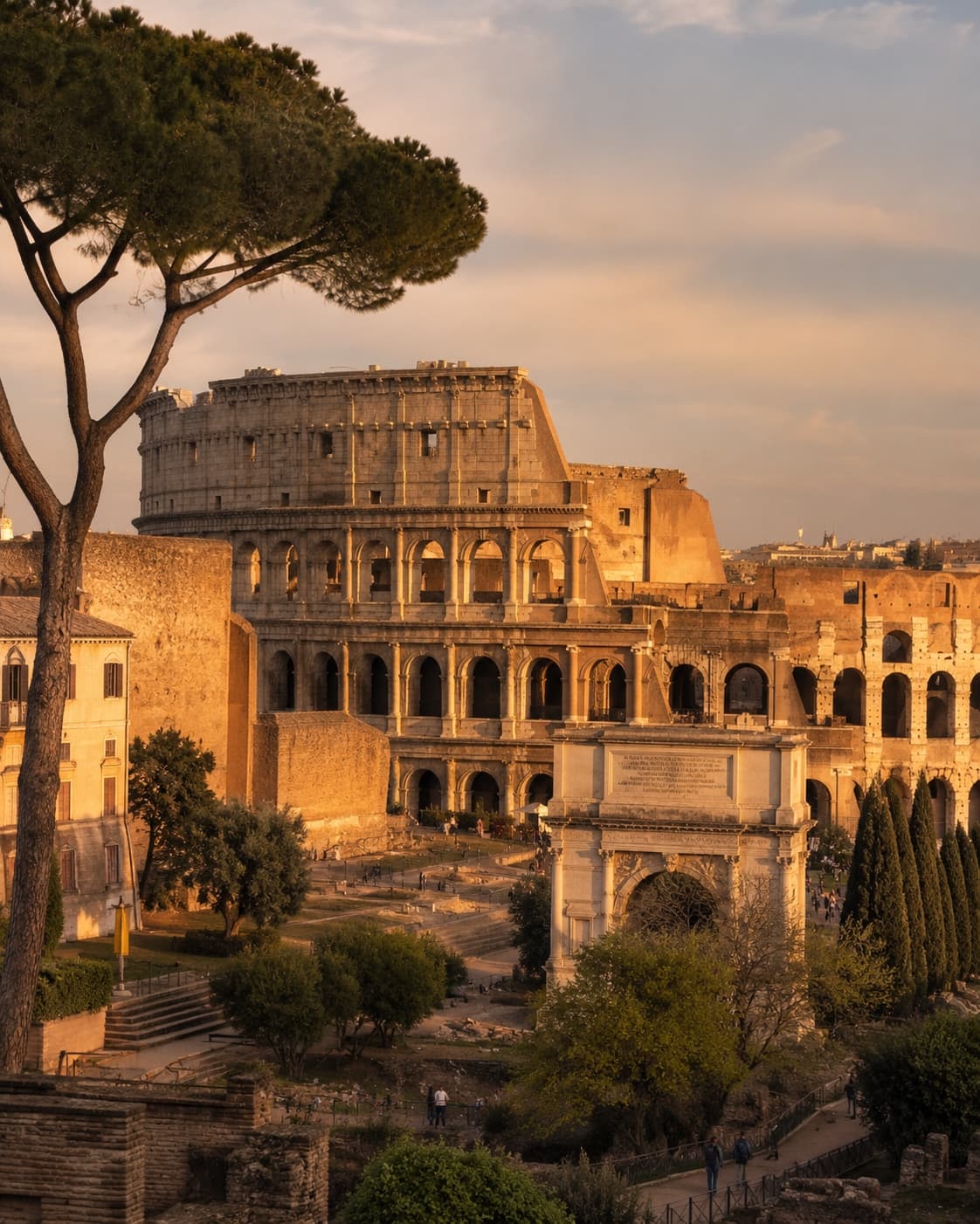 The Colosseum and the Arch of Titus in Rome, framed by an umbrella pine, lit by golden hour light.